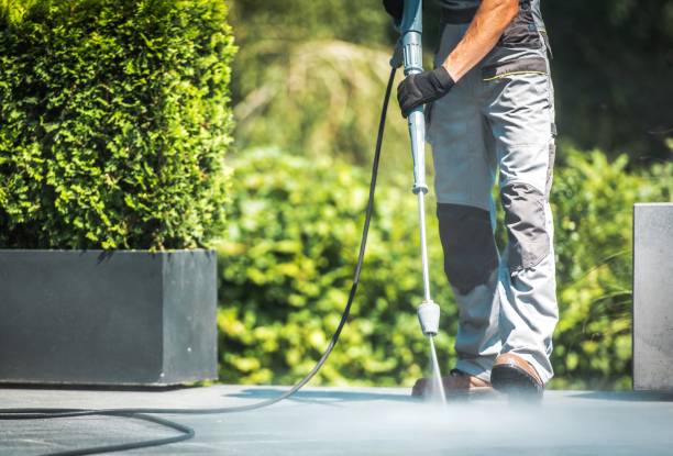 Best Patio and Deck Pressure Washing  in Bethpage, NY